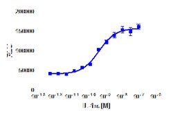 DiscoverX IL-1 2 &mu;g | Buy Online | DiscoverX | Fisher Scientific