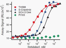 DiscoverX TH588 5 mg | Buy Online | DiscoverX | Fisher Scientific