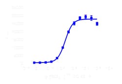 DiscoverX PathHunter eXpress CCKAR CHO-K1 -Arrestin GPCR Assay 200 dp (2 x 96-well) | Buy Online | DiscoverX | Fisher Scientific