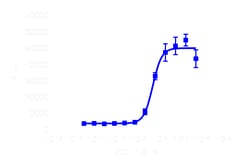 DiscoverX&nbsp;PathHunter&trade; CHO-K1 CCR7 &beta;-Arrestin Cell Line
