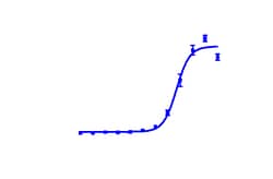 DiscoverX PathHunter HEK 293 CXCR2 (IL8RB) -Arrestin Cell Line 2 Vials | Buy Online | DiscoverX | Fisher Scientific