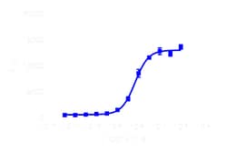 DiscoverX&nbsp;PathHunter&trade; CHO-K1 CALCRL-RAMP1 (CGRP1) &beta;-Arrestin Cell Line