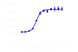 DiscoverX PathHunter eXpress CALCRL-RAMP2 (AM1) CHO-K1 -Arrestin GPCR Assay 1,000 dp (10 x 96-well) | Buy Online | DiscoverX | Fisher Scientific