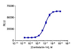 DiscoverX PathHunter CHO-K1 MRGPRX2 Bioassay Kit 1,000 dp (10 x 96-well) | Buy Online | DiscoverX | Fisher Scientific