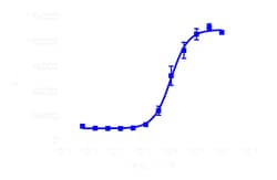 DiscoverX PathHunter eXpress MLNR CHO-K1 -Arrestin GPCR Assay 200 dp (2 x 96-pocillos) | Buy Online | DiscoverX | Fisher Scientific
