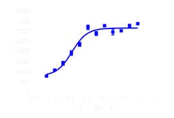DiscoverX PathHunter eXpress ADRA2A CHO-K1 -Arrestin GPCR Assay 200 dp (2 x 96-well) | Buy Online | DiscoverX | Fisher Scientific