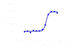 DiscoverX PathHunter eXpress TrkB-P75 Functional Assay 200 dp (2 x 96-well) | Buy Online | DiscoverX | Fisher Scientific