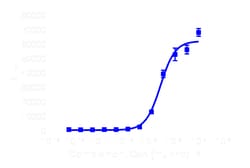 DiscoverX PathHunter eXpress mC5AR1 CHO-K1 -Arrestin GPCR Assay 1,000 dp (10 x 96-well) | Buy Online | DiscoverX | Fisher Scientific