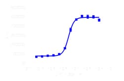 DiscoverX PathHunter eXpress ADRA2B CHO-K1 -Arrestin GPCR Assay 1,000 dp (10 x 96-well) | Buy Online | DiscoverX | Fisher Scientific