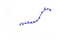 DiscoverX PathHunter eXpress C5L2 CHO-K1 -Arrestin GPCR Assay 1,000 dp (10 x 96-well) | Buy Online | DiscoverX | Fisher Scientific