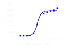 DiscoverX PathHunter eXpress SSTR2 Activated GPCR Internalization Assay 1 000 dp (10 x 96-brunnar) | Buy Online | DiscoverX | Fisher Scientific