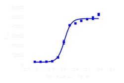 DiscoverX PathHunter eXpress SSTR2 Activated GPCR Internalization Assay 200 dp (2 x 96-well) | Buy Online | DiscoverX | Fisher Scientific
