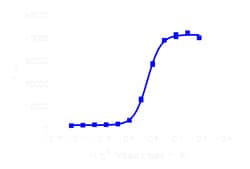 DiscoverX PathHunter™ AVPR2 Activated GPCR Internalization U2OS Cell Line