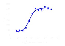 DiscoverX PathHunter eXpress AVPR1B Activated GPCR Internalization Assay 1 000 dp (10 x 96-brunnar) | Buy Online | DiscoverX | Fisher Scientific