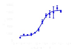 DiscoverX PathHunter eXpress UTR2 Total GPCR Internalization Assay 1,000 dp (10 x 96-well) | Buy Online | DiscoverX | Fisher Scientific