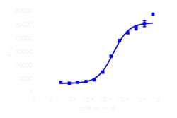 DiscoverX PathHunter eXpress TORC2 Nuclear Translocation Assay 200 dp (2 x 96-well) | Buy Online | DiscoverX | Fisher Scientific