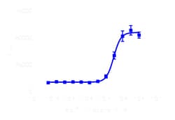 DiscoverX PathHunter eXpress OPRM1 U2OS -Arrestin-1 GPCR Assay 1,000 dp (10 x 96-well) | Buy Online | DiscoverX | Fisher Scientific
