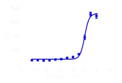 DiscoverX PathHunter eXpress DDR1 Functional Assay 200 dp (2 x 96-pocillos) | Buy Online | DiscoverX | Fisher Scientific