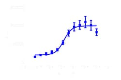 DiscoverX PathHunter eXpress HTR2C (VNV) U2OS -Arrestin GPCR Assay 1,000 dp (10 x 96-well) | Buy Online | DiscoverX | Fisher Scientific