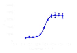 DiscoverX PathHunter eXpress NMBR Total GPCR Internalization Assay 200 dp (2 x 96-well) | Buy Online | DiscoverX | Fisher Scientific
