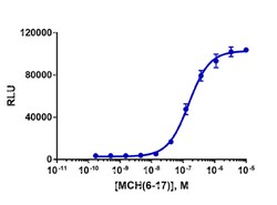 DiscoverX PathHunter U2OS MCHR1 Bioassay Kit 1,000 dp (10 x 96-well) | Buy Online | DiscoverX | Fisher Scientific