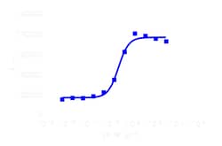 DiscoverX PathHunter eXpress ACVRL1/BMPR2 Dimerization Assay 200 dp (2 x 96-well) | Buy Online | DiscoverX | Fisher Scientific