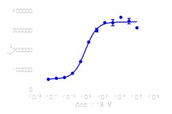 DiscoverX&nbsp;PathHunter&trade; eXpress AGTRL1 CHO-K1 &beta;-Arrestin-1 GPCR Assay