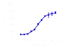 DiscoverX cAMP Hunter CHO-K1 DRD1 Gs Cell Line 2 Vials | Buy Online | DiscoverX | Fisher Scientific
