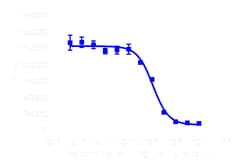 DiscoverX cAMP Hunter eXpress DRD2S (Short Isoform) CHO-K1 GPCR Assay 1,000 dp (10 x 96-well) | Buy Online | DiscoverX | Fisher Scientific
