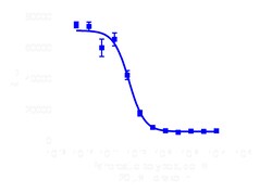 DiscoverX cAMP Hunter eXpress PPYR1 (NPY4R) CHO-K1 GPCR Assay 1,000 dp (10 x 96-well) | Buy Online | DiscoverX | Fisher Scientific