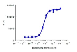 DiscoverX cAMP Hunter CHO-K1 LHCGR Bioassay Kit 1 000 ddp (10 x 96 puits) | Buy Online | DiscoverX | Fisher Scientific