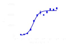 DiscoverX cAMP Hunter eXpress ADRB1 CHO-K1 GPCR Assay 200 dp (2 x 96-well) | Buy Online | DiscoverX | Fisher Scientific