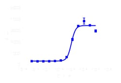 DiscoverX cAMP Hunter eXpress mGIPR CHO-K1 GPCR Assay 200 dp (2 x 96-well) | Buy Online | DiscoverX | Fisher Scientific