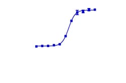 DiscoverX InCELL Hunter A549 GLP Methyltransferase Cell Line 2 Vials | Buy Online | DiscoverX | Fisher Scientific