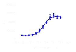 DiscoverX InCELL Hunter eXpress PIM1 Kinase Binding Assay 200 dp (2 x 96-well) | Buy Online | DiscoverX | Fisher Scientific