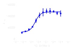 DiscoverX InCELL Hunter eXpress BTK Kinase Binding Assay 200 dp (2 x 96-well) | Buy Online | DiscoverX | Fisher Scientific