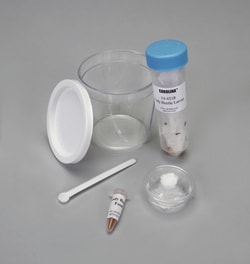 Carolina Biological™ Lady Beetle 10-Larvae Culture