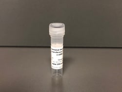 Terminal deoxynucleotidyl transferase (TdT), Murine, 2500 U, G-Biosciences