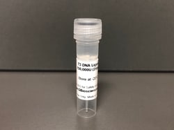T3 DNA Ligase, 750000 U, G-Biosciences