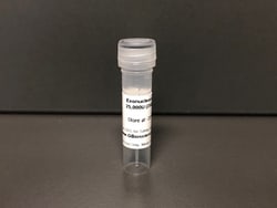 Exonuclease III, 25000 U, G-Biosciences