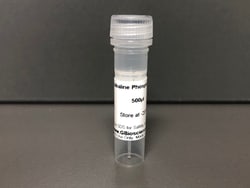 Alkaline Phosphatase, 2500 U, G-Biosciences