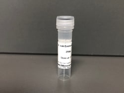 E. coli Exonuclease I, 5000 U, G-Biosciences