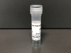 Cid1 Poly (U) Polymerase, 60 U, G-Biosciences