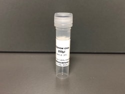 Klenow Exo, 1000 U, G-Biosciences