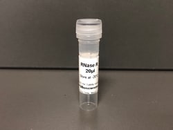 RNase R, 500 U, G-Biosciences