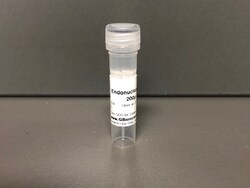 Endonuclease VIII, 2000 U, G-Biosciences