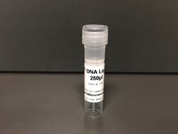 T7 DNA Ligase, 75000 U, G-Biosciences