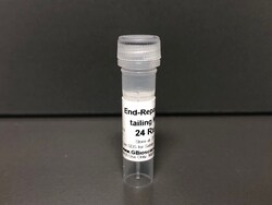 End-Repair dA-tailing Mix, 24 reactions, G-Biosciences