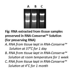 G-Biosciences RNA-Conserve™ Solution