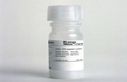 glutathione sepharose 4 fast flow ge healthcare Chromatography Media Mild elution conditions preserve GLUTA PRIMME PRIME Plus Biotin Collagen Size:30's
